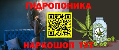 дурь Пугачёв