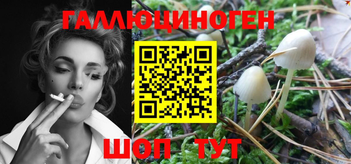 Галлюциногенные грибы мухоморы Можайск